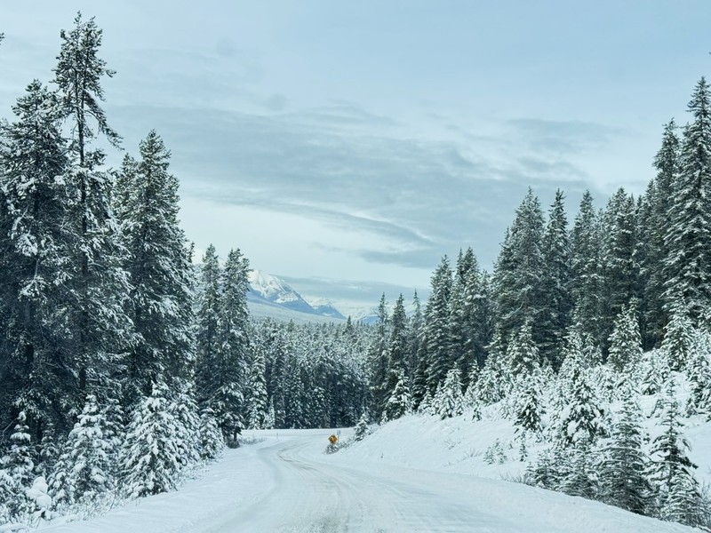IMG_9915ML5 Banff Bow Valley Parkway