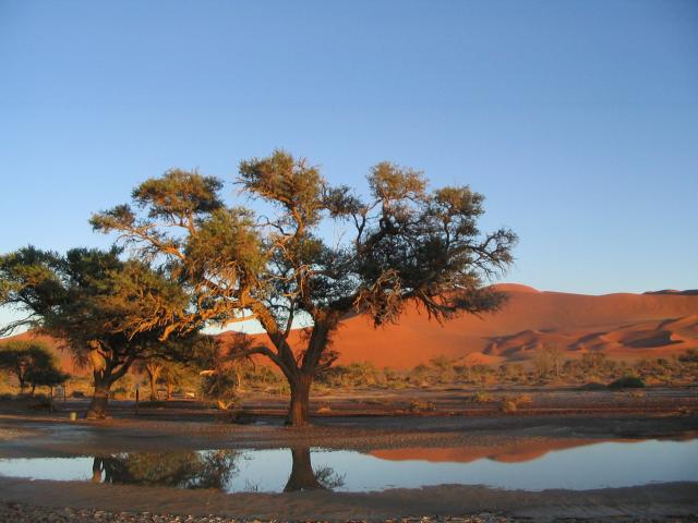 Water in the desert