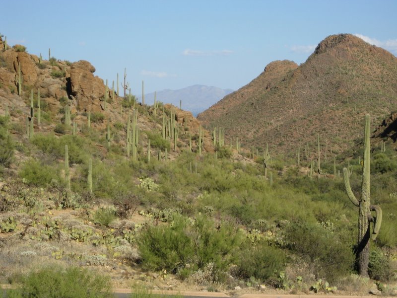 Gates Pass Scenic Overlook
