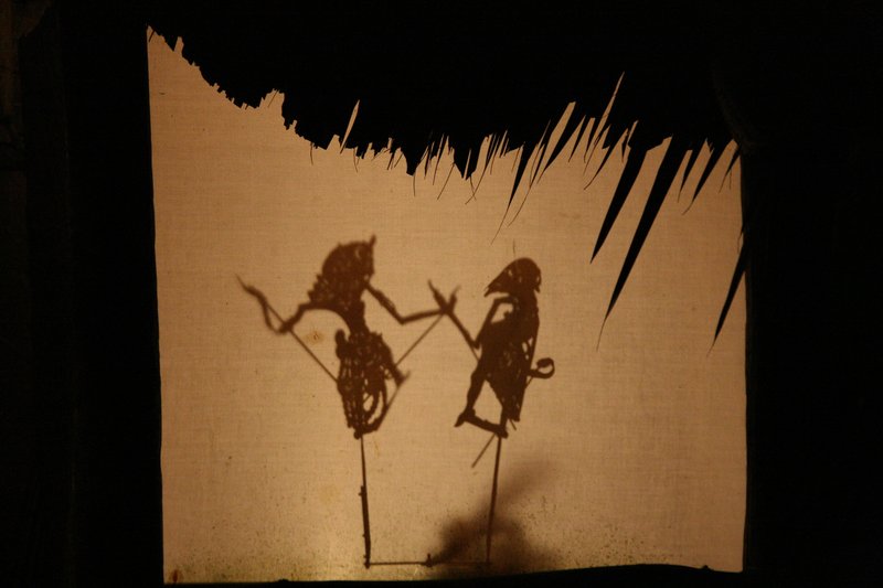 Night Safari - Photo 1