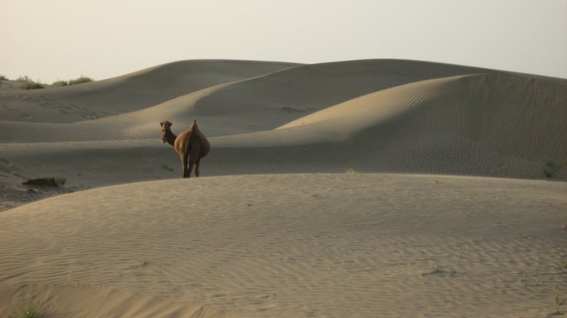 desert dunes