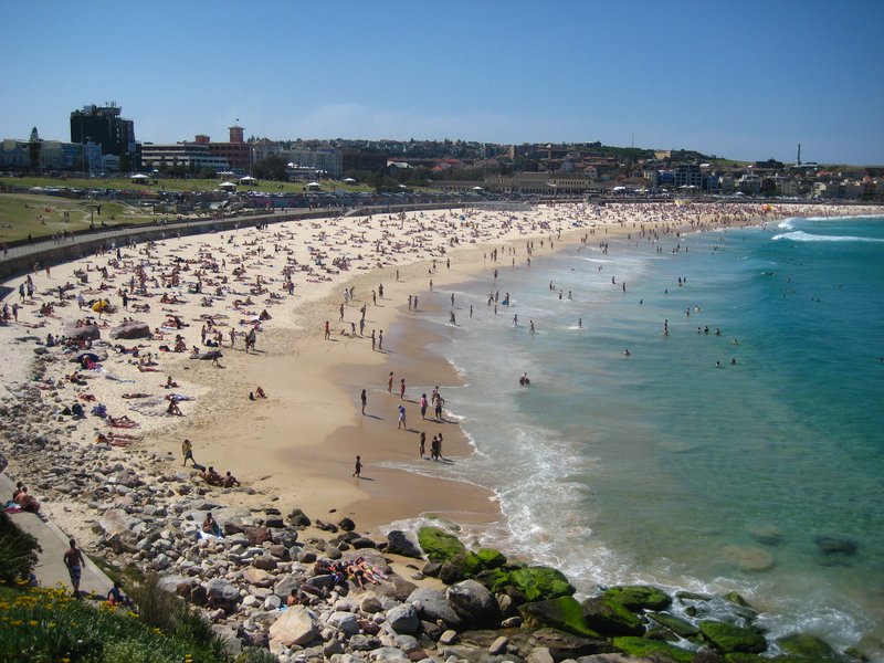bondi beach