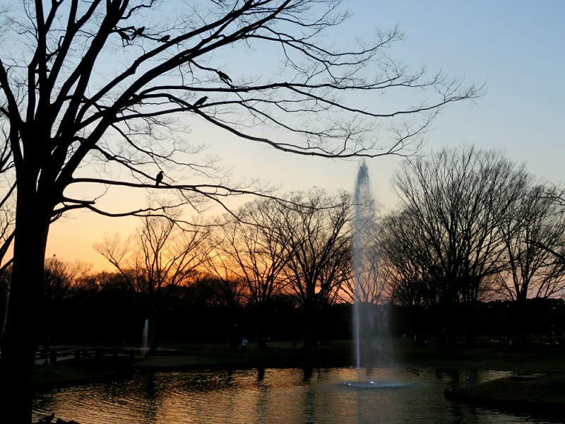 Yoyogi Park - Photo 1