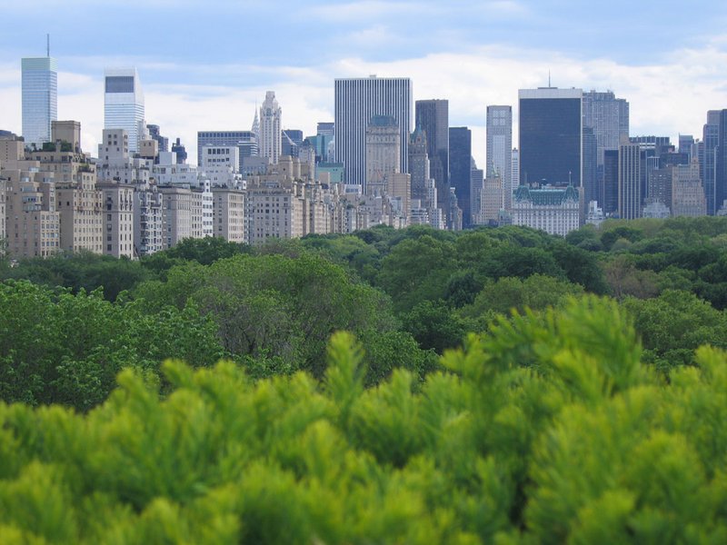 Central Park - Photo 1