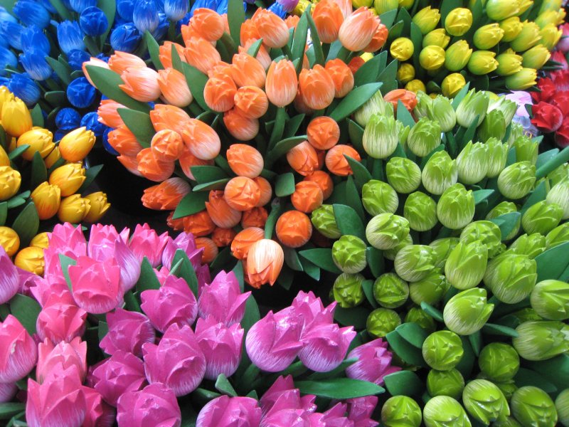 Featured photo 1