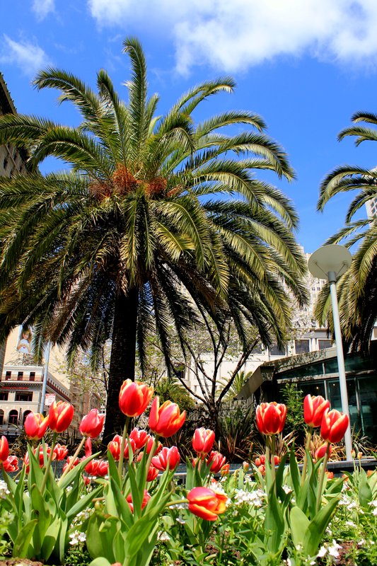 Union Square - Photo 1
