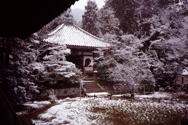 Featured photo 3