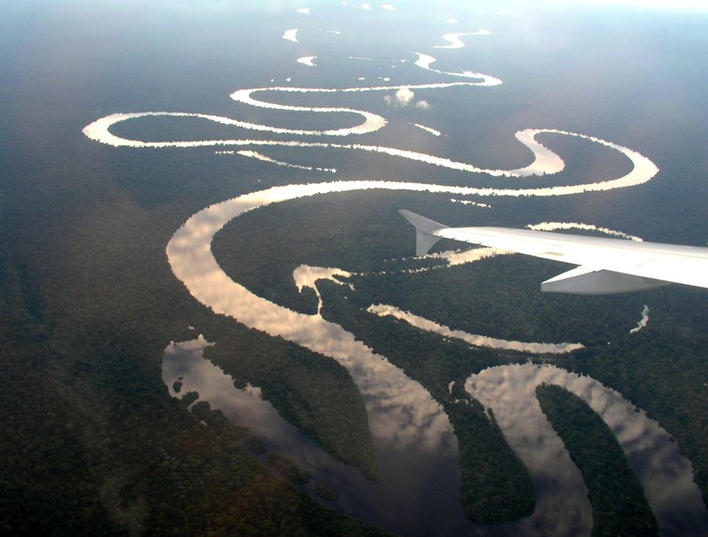 the Amazon River
