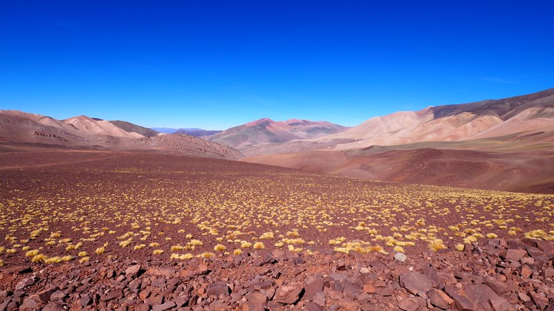 Colours of the Earth