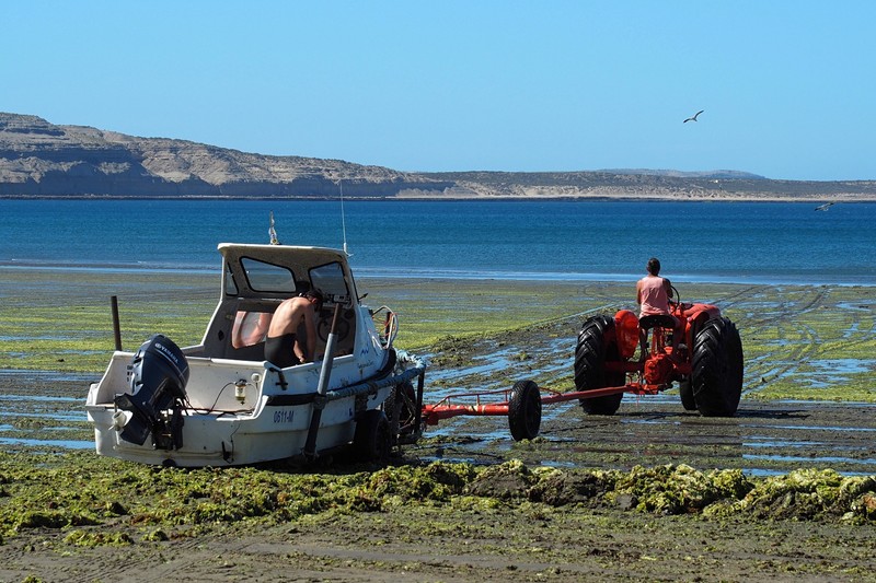Peninsula Valdés