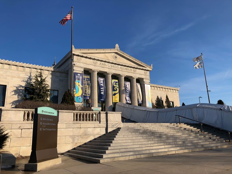 Shedd Aquarium - Photo 1