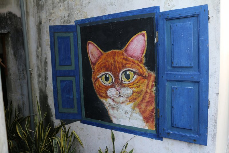 Street Art Cat