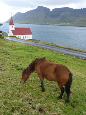 Horse and church, Husar, Kalsoy