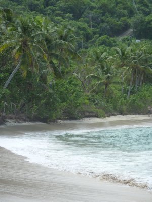 Beach at Smuggler's Cove, Tortola