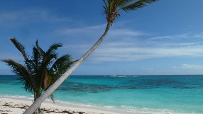 What's not to like?  Great Guana Cay, Bahamas