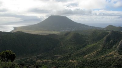 View of the quill from zeelandia