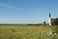 Texel landscape