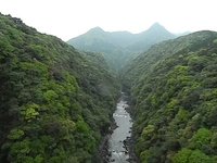 View from a bridge in Yakushima (Yakushima Japan)
