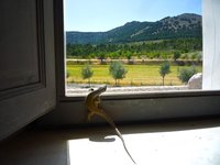 Escape