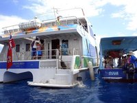 To Beachcomber, ferry
