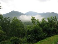 The Great Smoky Mountains National Park
