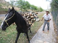 Wood Chopper