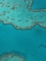 great barrier reef