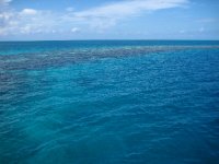 The Blue Hole, Light House Reef