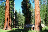 Sequoia National Park