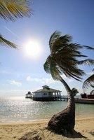 IMG_8206-1
