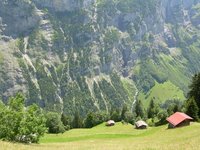 Interlake - Alps