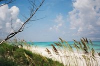 Lighthouse beach