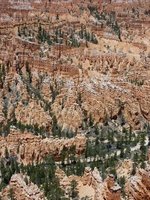 The famous Hoodoos in Bryce Canyon National Park, Utah