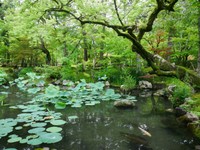 Eikan-do garden