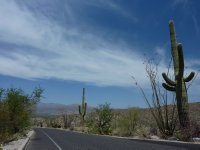 Saguaro National Park, Arizona