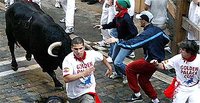 Running With The Bulls