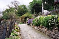 Montmartre Vineyard, Paris