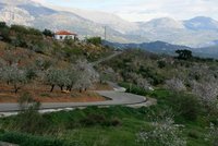 A winding road in Andalusia.