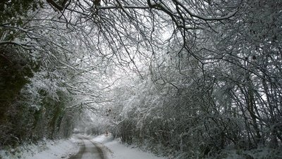 WP_20171210_12_25_26_Pro