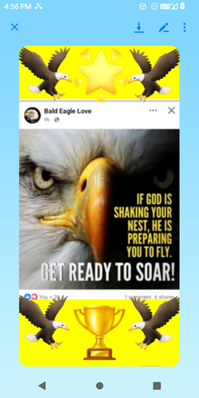 Screenshot_20250502-165652