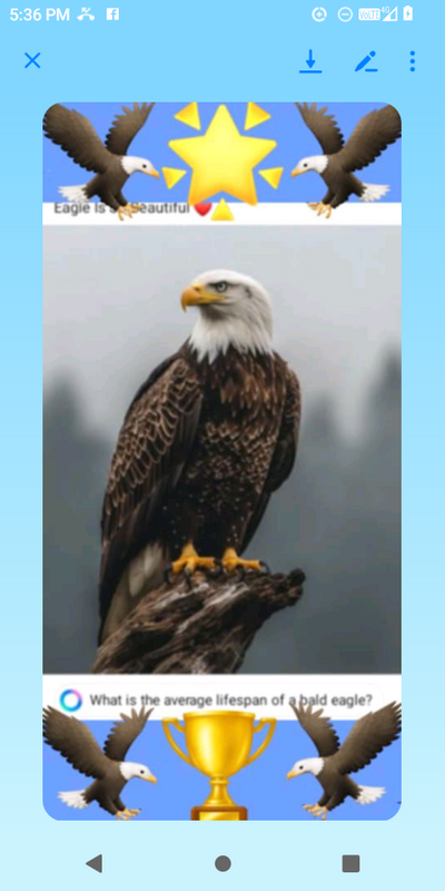 Screenshot_20250502-173634