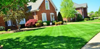 certified commercial landscape contractor